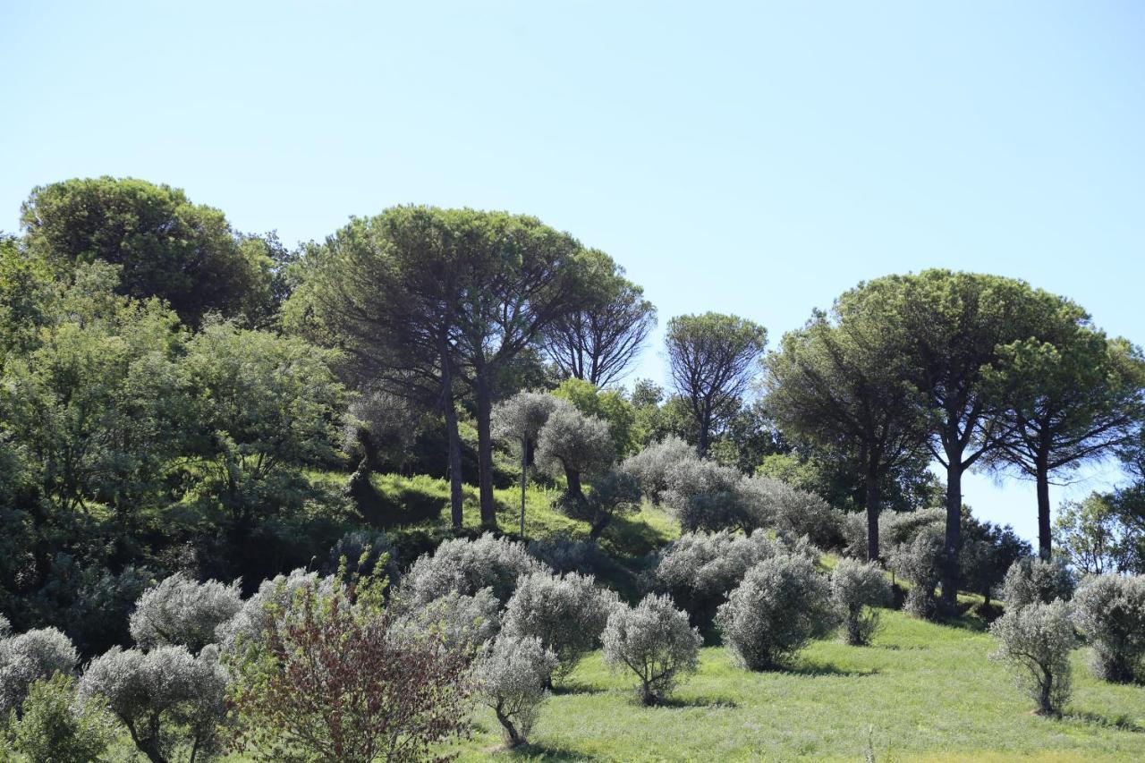 La Masseria Pietramarmo Caiazzo - App To Con Vista מראה חיצוני תמונה
