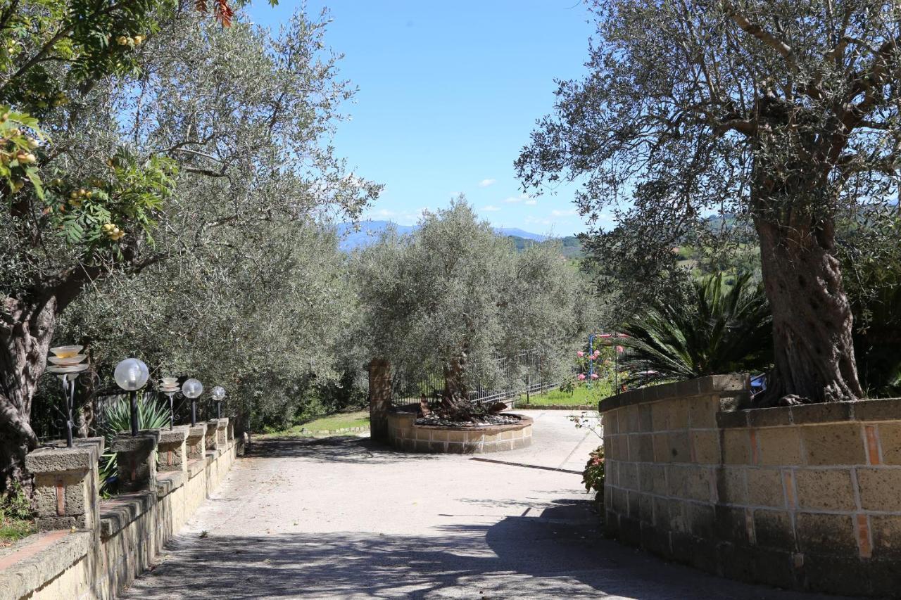 La Masseria Pietramarmo Caiazzo - App To Con Vista מראה חיצוני תמונה
